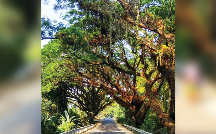 অলীক পাহাড়িয়া (শেষ পর্ব)