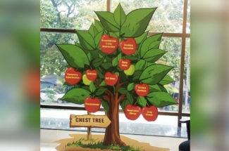Innovative initiative 'Chest Tree' for comprehensive respiratory care