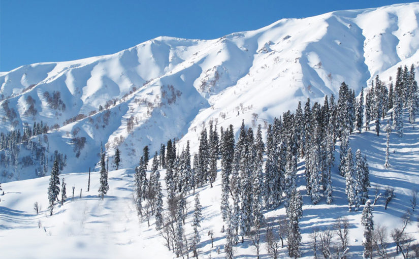 কাশ্মীরে কয়েকদিন (শেষ পর্ব)