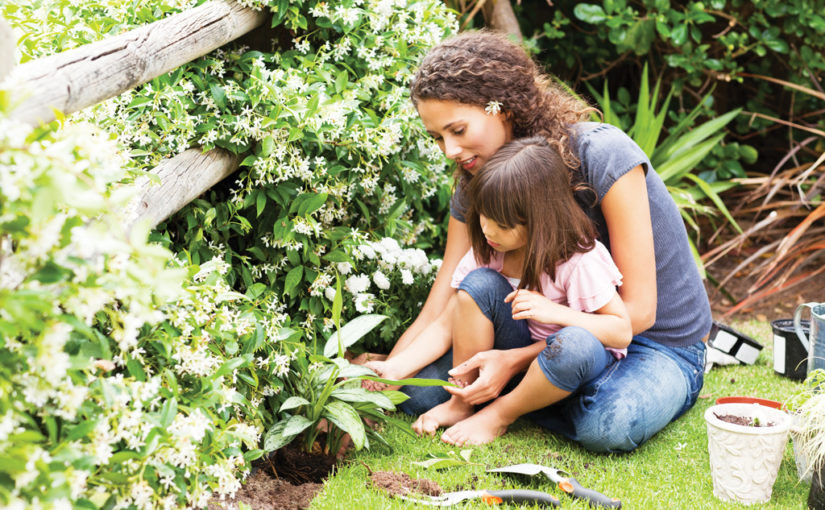 ব্যক্তিগত যত্নের A to Z