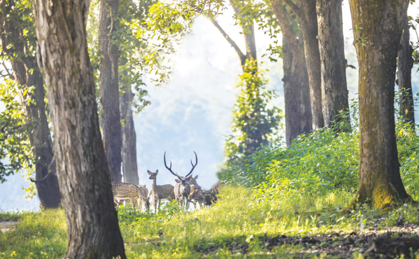 মধ্যপ্রদেশের অফবিট গন্তব্য