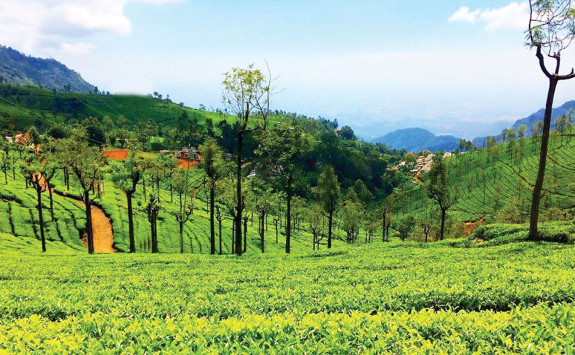 রোমান্টিক ডেস্টিনেশন্‌স