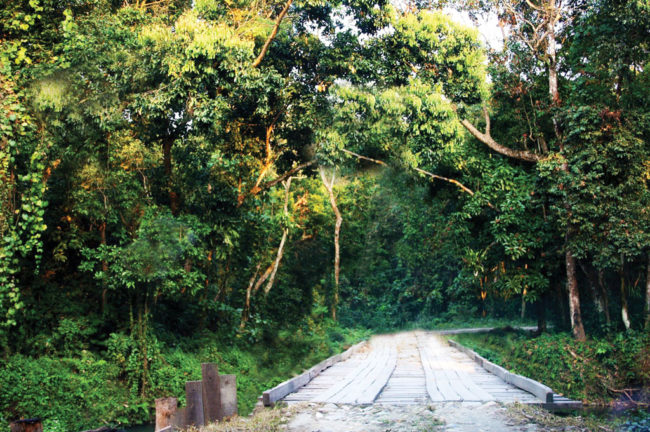 চিলাপাতা-র আরণ্যক গন্তব্য (পর্ব-০১)