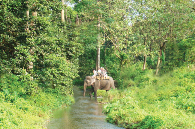 চিলাপাতা-র আরণ্যক গন্তব্য (শেষ পর্ব)