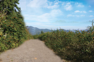 যেতেই পারি… দারিংবাড়ি (পর্ব-০১)