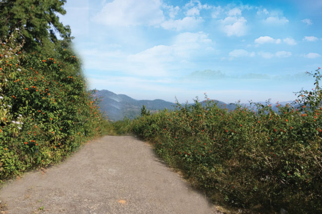 যেতেই পারি… দারিংবাড়ি (পর্ব-০১)