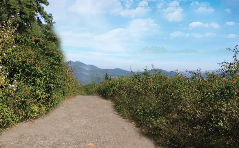 যেতেই পারি… দারিংবাড়ি (পর্ব-০১)