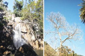 যেতেই পারি… দারিংবাড়ি (পর্ব-০২)