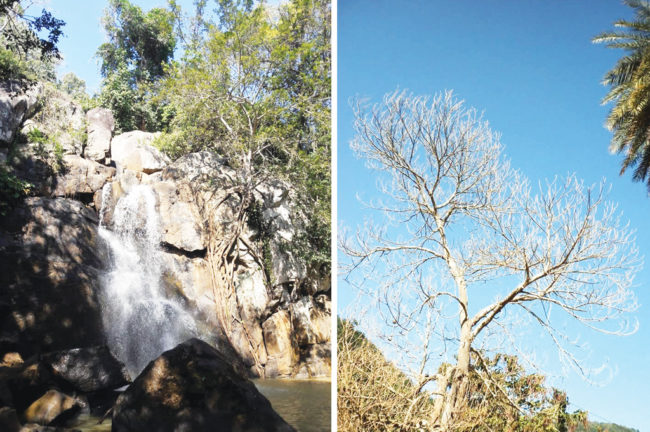 যেতেই পারি… দারিংবাড়ি (পর্ব-০২)
