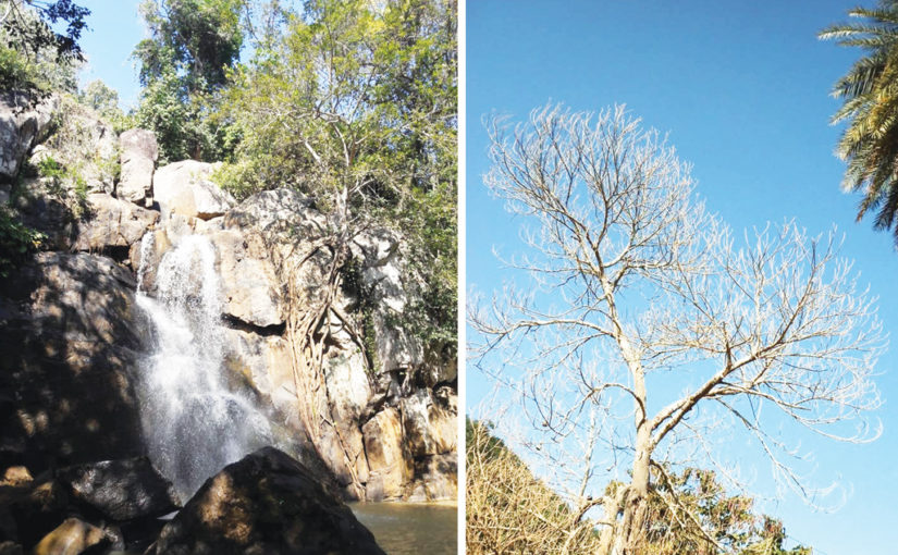 যেতেই পারি… দারিংবাড়ি (পর্ব-০২)