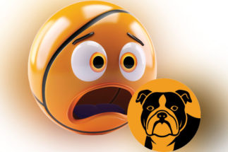 সমস্যা যখন পোষ্য প্ৰাণী