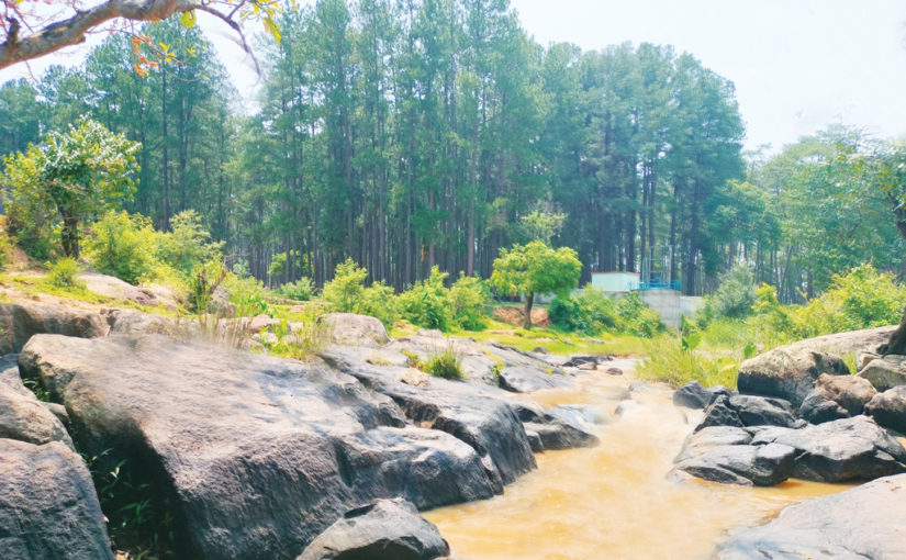 যেতেই পারি… দারিংবাড়ি (শেষ পর্ব)