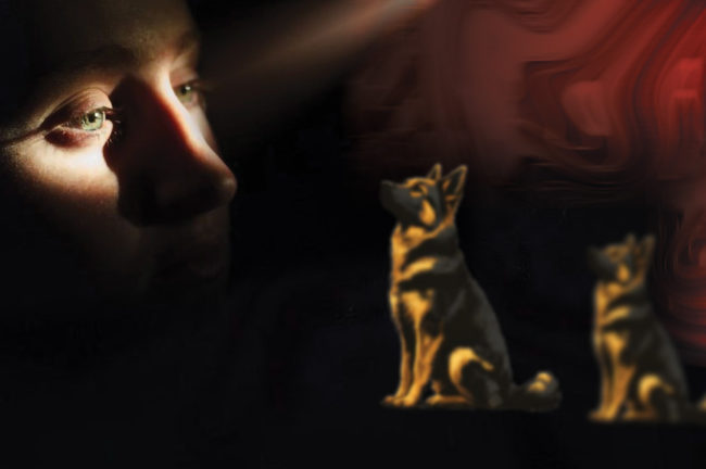 চার্লস বনেট সিন্ড্রোম