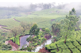 মেঘের দেশ মুন্নার (পর্ব-০১)
